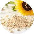 Lecithin